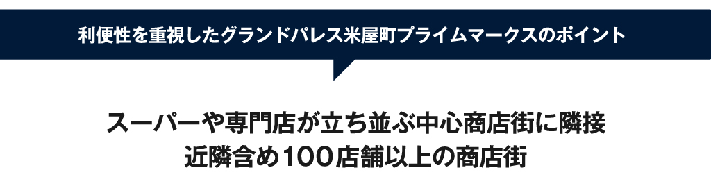 スーパーや専門店が立ち並ぶ中心商店街に隣接近隣含め100店舗以上の商店街利便性を重視したグランドパレス米屋町プライムマークスのポイント